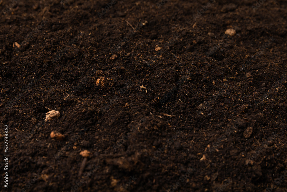 Fertile soil. Gardening concept. Fertile soil. Gardening concept.