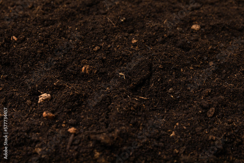 Fertile soil. Gardening concept.