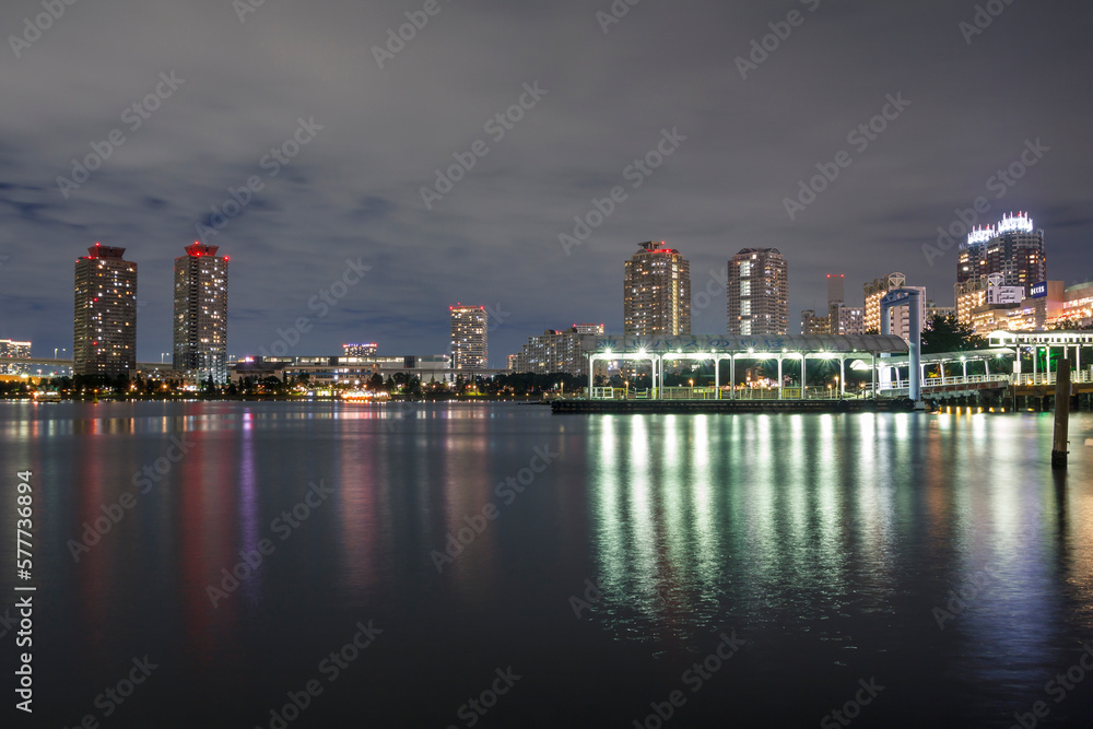 Tokyo bay skyline