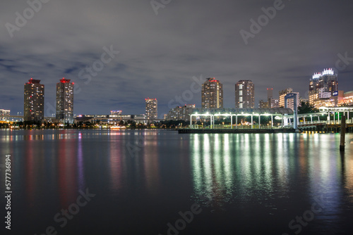 Tokyo bay skyline