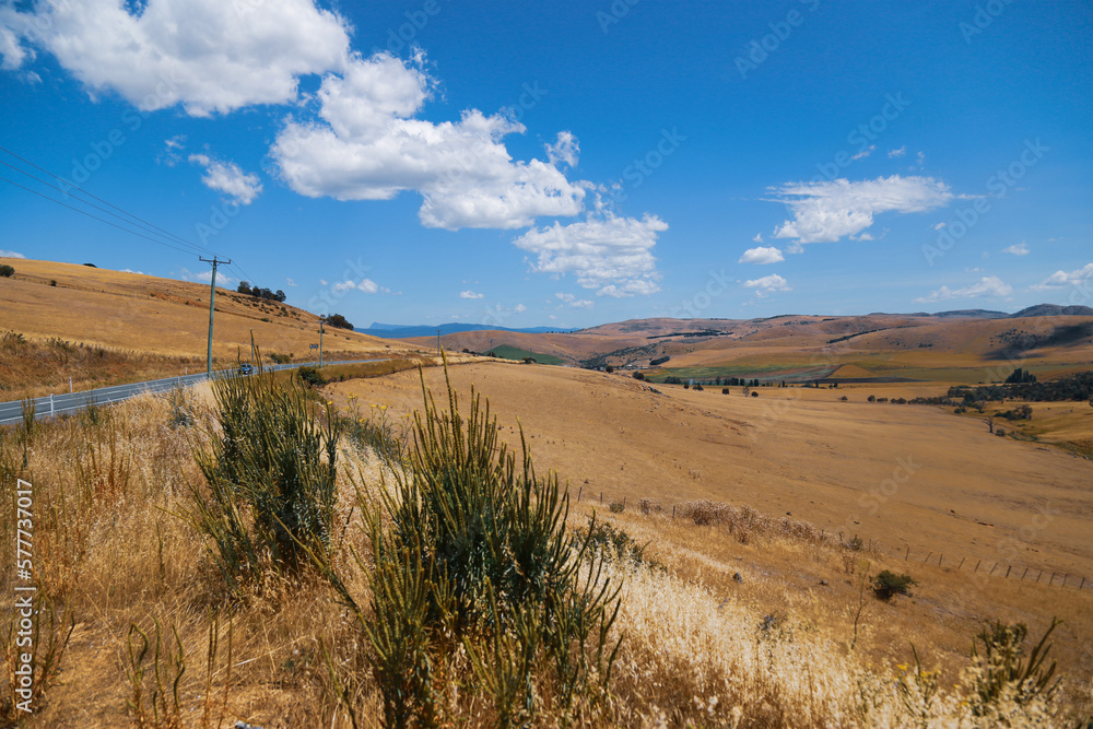 Naklejka premium landscape with a road