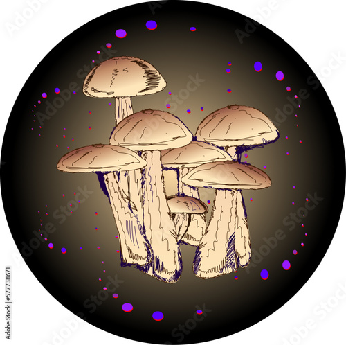 Magic Mushrooms with colorful circles