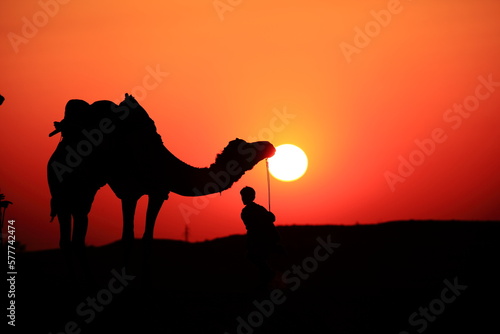 Silhouette of a man and camel at sunset in the desert  Jaisalmer - India