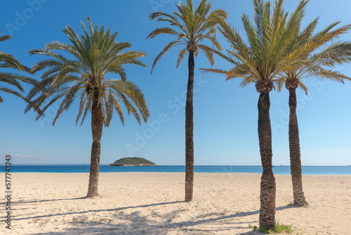 Palm trees on the sand at Magaluf beach in Mallorca (Balearic Islands, Spain), with the sea and an islet in the background.