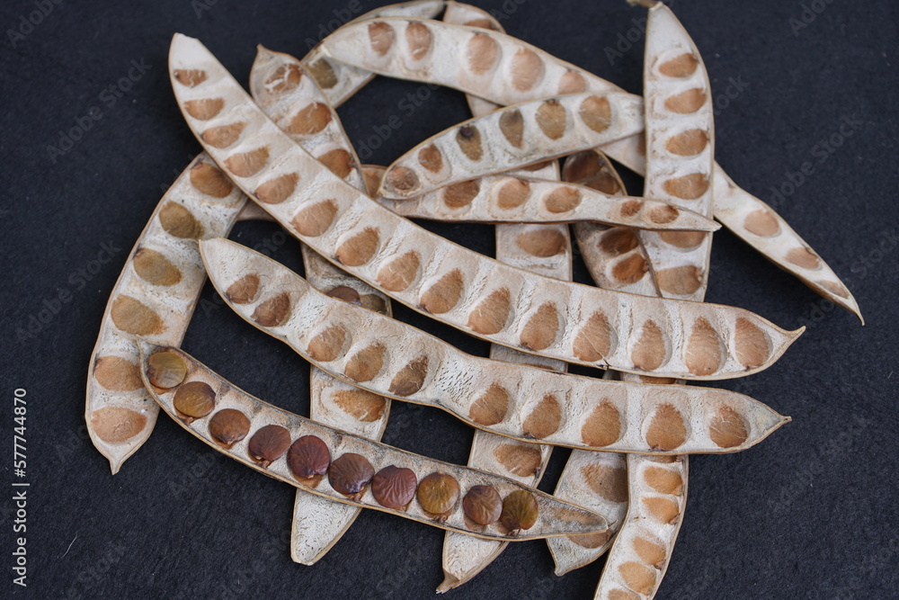 Seeds of Inga edulis, Fabaceae family, known as icecream bean, ice