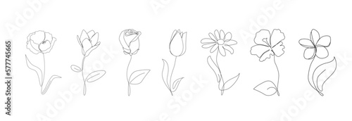 Continuous line drawing of flowers.Poppy,magnolia,tulip,rose ,camomile with leaves one line drawing.Tropical flowers.Hand drawn flowers.Single one line flowers set .Flowers outline sketch.