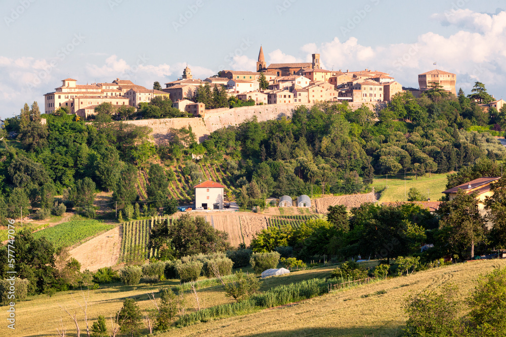 Corinaldo, Ancona. Veduta del borgo murato nel contesto rurale di bosco e campi di grano.