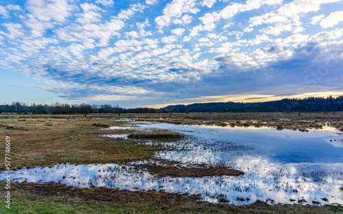 Fototapeta Naklejka Na Ścianę i Meble -  Clouds Above Wetlands Reflection