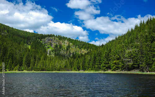 A small glacial lake located in a grassy alpine glade surrounded by wild coniferous forests. The water's luster reflects the sunlight. Carpathia, Romania. 