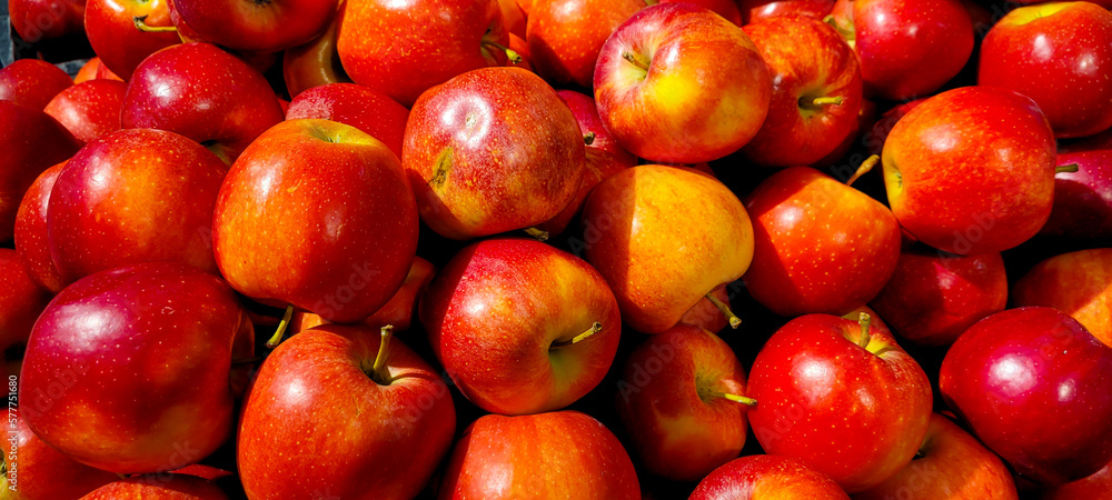 Fresh red apples. Apples on the shelf. Close up at the grocery. Red organic apples.