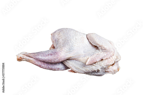 Raw Guineafowl, guinea fowl with herbs in steel tray.  Isolated, transparent background