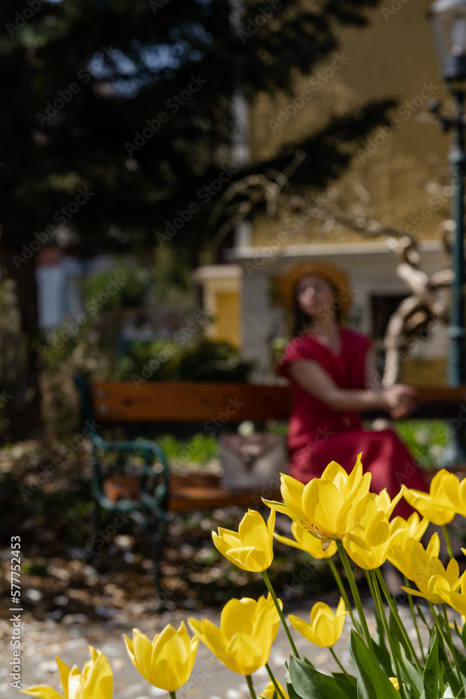 A beautiful young woman sits on a bench in a spring blooming garden in the bokeh and bright yellow crocuses in the foreground.
