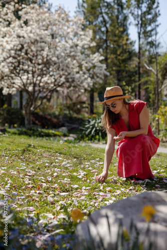 Bild auf Leinwand A young beautiful woman in an elegant red dress and straw hat collects the petals of white magnolia flowers hat have fallen to the ground in a spring flowering garden