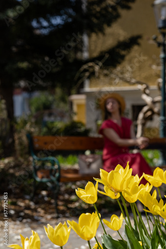 A beautiful young woman sits on a bench in a spring blooming garden in the bokeh and bright yellow crocuses in the foreground. © Anna