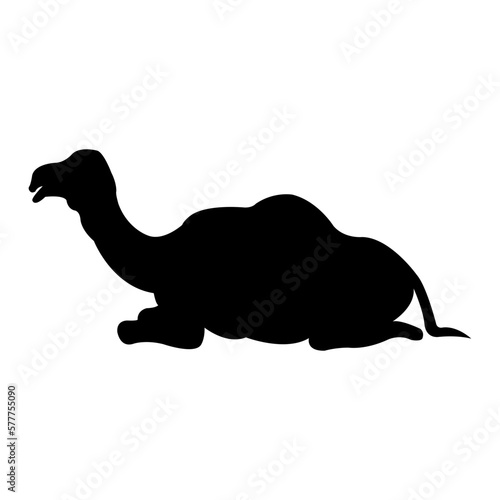 Camel silhouette arabian black vector