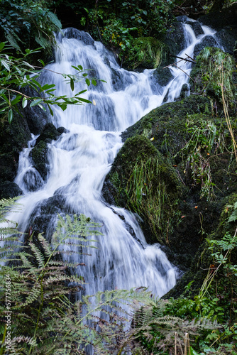 Waterfall in Crawfordsburn  Northern Ireland  UK