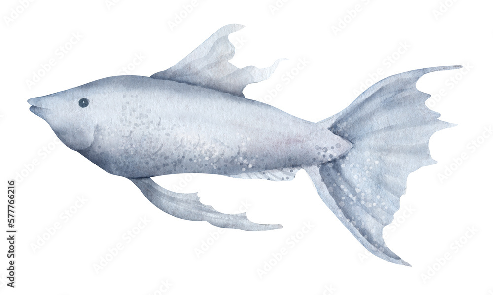 Obraz premium Watercolor Guppy Fish. Hand drawn illustration of aquarium pet on isolated background. Drawing of underwater tropical animal. Colorful sketch of exotic marine creature for icon or logo in blue colors