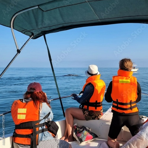 WHALE WATCHING ON THE PACIFIC OCEAN