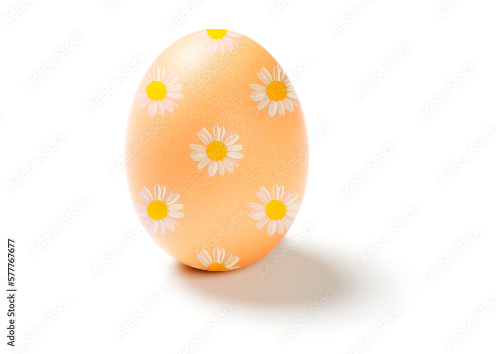 Easter egg isolated on white background 3 Easter egg isolated on white background 3