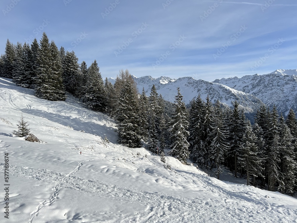 Fototapeta premium Picturesque canopies of alpine trees in a typical winter atmosphere in the Swiss Alps and over the tourist resort of Arosa - Canton of Grisons, Switzerland (Schweiz)