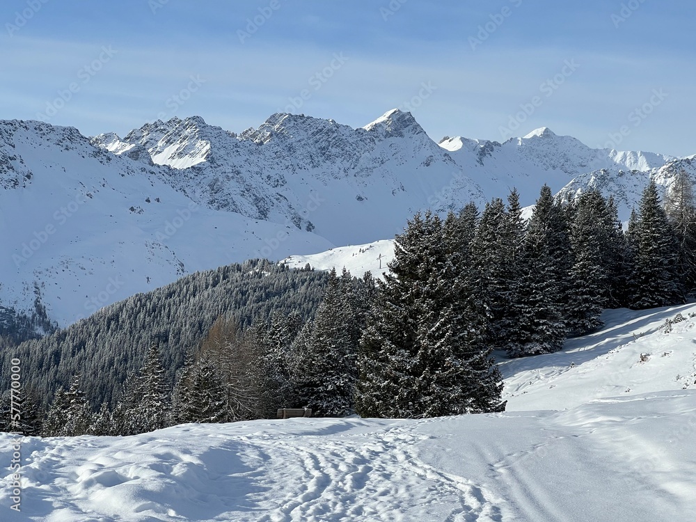 Fototapeta premium Picturesque canopies of alpine trees in a typical winter atmosphere in the Swiss Alps and over the tourist resort of Arosa - Canton of Grisons, Switzerland (Schweiz)