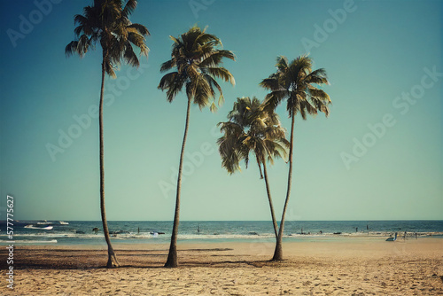 palm trees on the beach