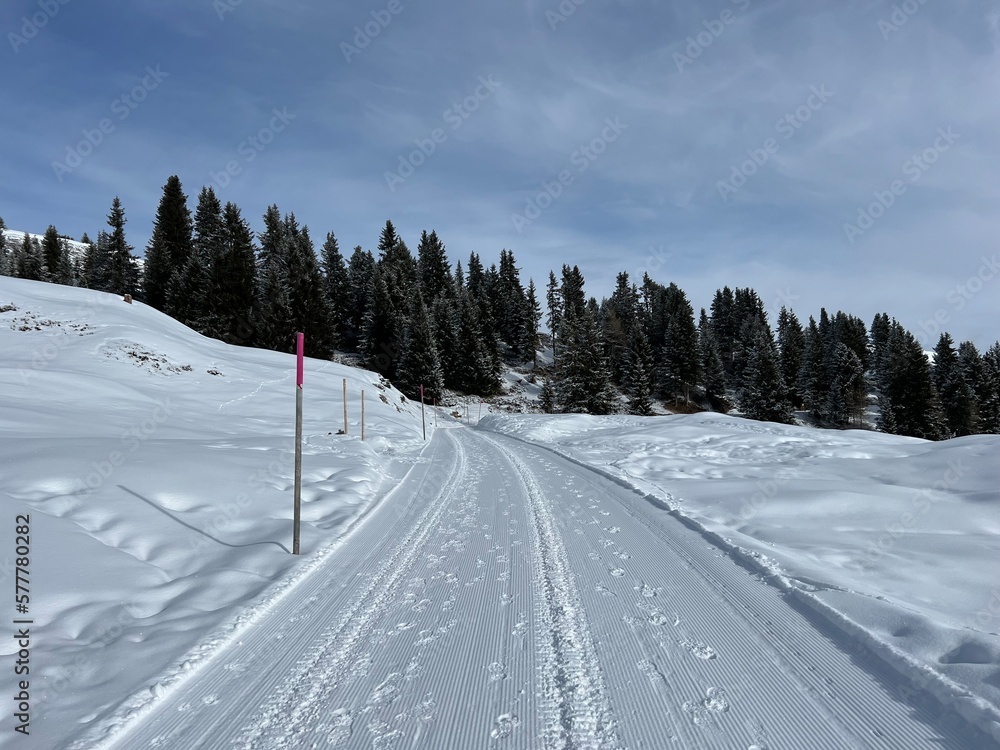 Excellently arranged and cleaned winter trails for walking, hiking, sports and recreation in the area of the Swiss tourist winter resort of Arosa - Canton of Grisons, Switzerland (Schweiz) Excellently arranged and cleaned winter trails for walking, hiking, sports and recreation in the area of the Swiss tourist winter resort of Arosa - Canton of Grisons, Switzerland (Schweiz)