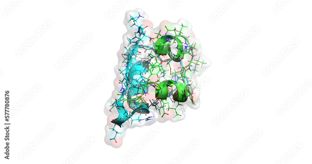 Insulin 3D protein molecule Insulin 3D protein molecule