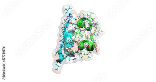 Insulin 3D protein molecule  photo