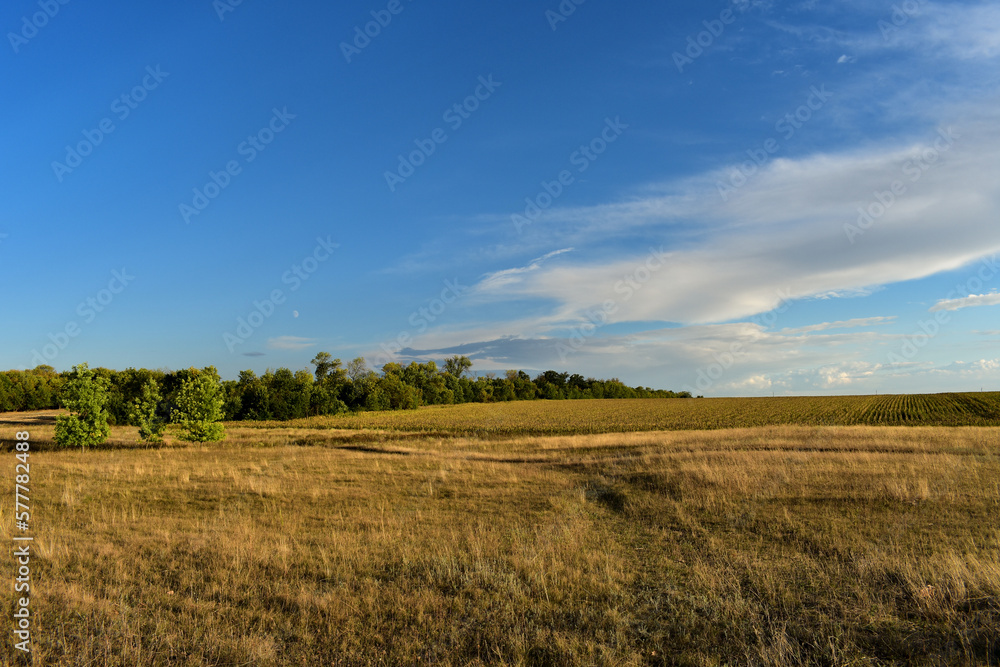 Road through the meadow and clouds in the sky
Scenic view of a road through a golden field and clouds in the sky on a sunny summer day Road through the meadow and clouds in the sky
Scenic view of a road through a golden field and clouds in the sky on a sunny summer day