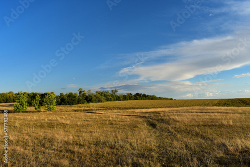 Road through the meadow and clouds in the sky Scenic view of a road through a golden field and clouds in the sky on a sunny summer day