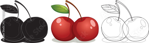 Cherries fruit design illustration Vector