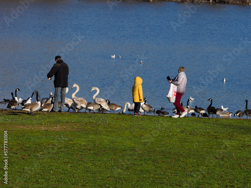 promeneurs avec les oiseaux à la Base de Loisirs de Verneuil sur Seine dans les Yvelines en France photo