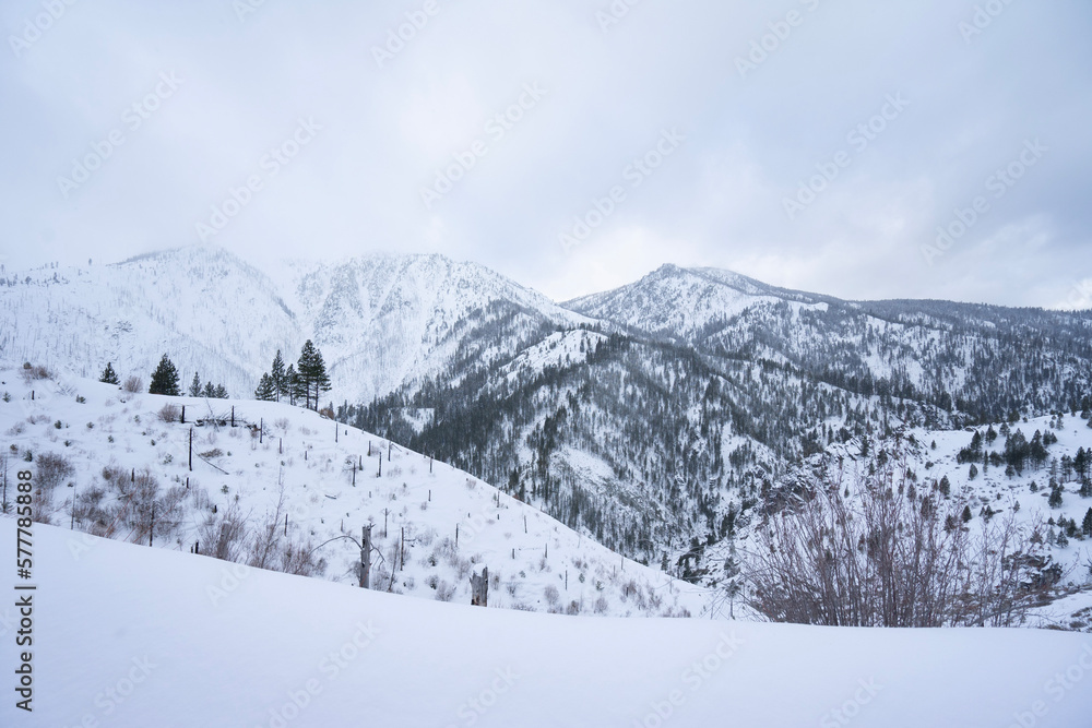 snow covered mountains,