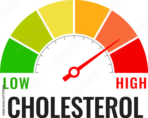Cholesterol meter icon, low or high level indicator