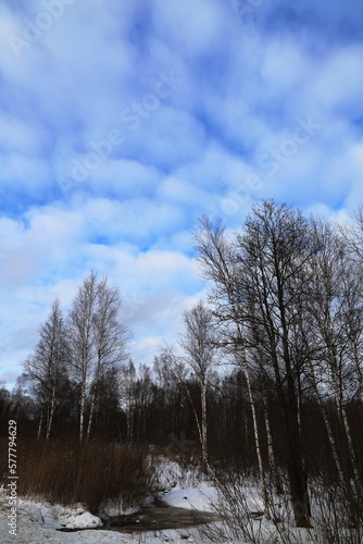 trees in winter © SuGak