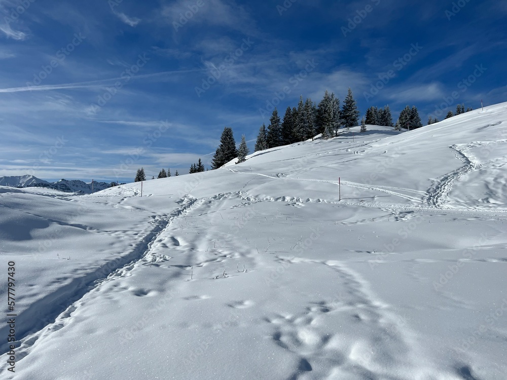 Wonderful winter hiking trails and traces in the fresh alpine snow cover of the Swiss Alps and over the tourist resort of Arosa - Canton of Grisons, Switzerland (Schweiz) Wonderful winter hiking trails and traces in the fresh alpine snow cover of the Swiss Alps and over the tourist resort of Arosa - Canton of Grisons, Switzerland (Schweiz)