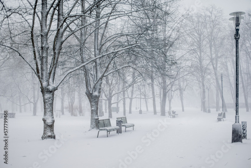 Empty park with trees and benches in heavy snow storm. Everything covered in snow