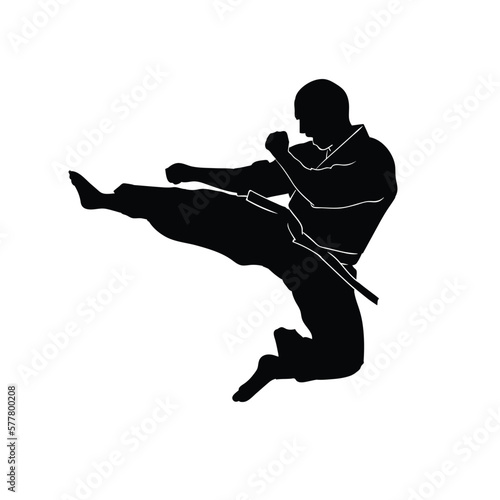 judo player silhouette illustration
