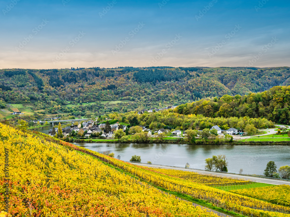 Panorama shot of Senhals village in the valley along Moselle river bank between rolling hills and steep vineyards in Cochem-Zell district, Germany