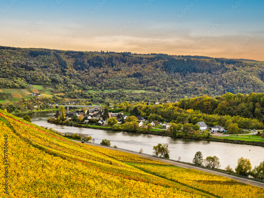 Senhals village in the valley along Moselle river bank between rolling hills and steep vineyards in Cochem-Zell district, Germany