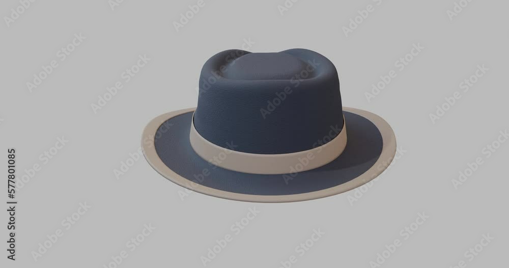 For all occasions Fedora Hat 360 view For all occasions Fedora Hat 360 view