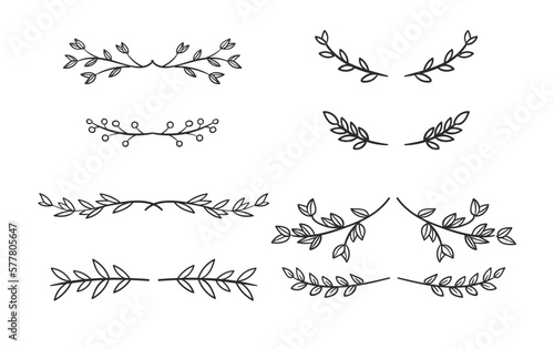 collection of hand drawn floral elements.