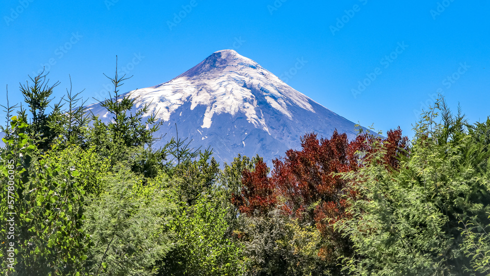 Fototapeta premium Amalia Glacier, Chile