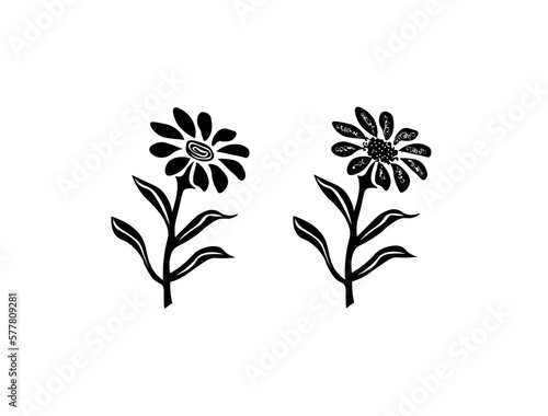 set of black and white flowers. Hand drawn wild hay flowers. Chamomile or daisy flower. Botanical illustration