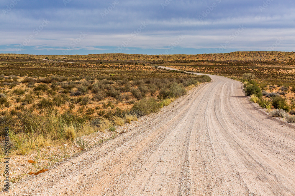 Safari gravel road in scrubland scenery in Kgalagadi transfrontier park, South Africa