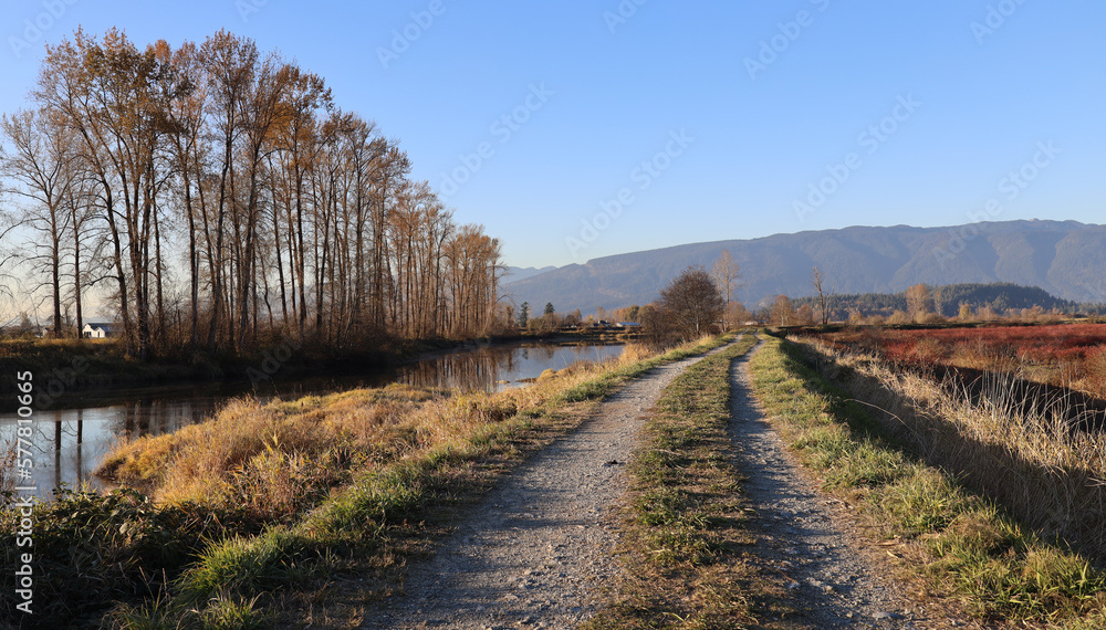 Fototapeta premium Late afternoon sunshine on the autumn dykes