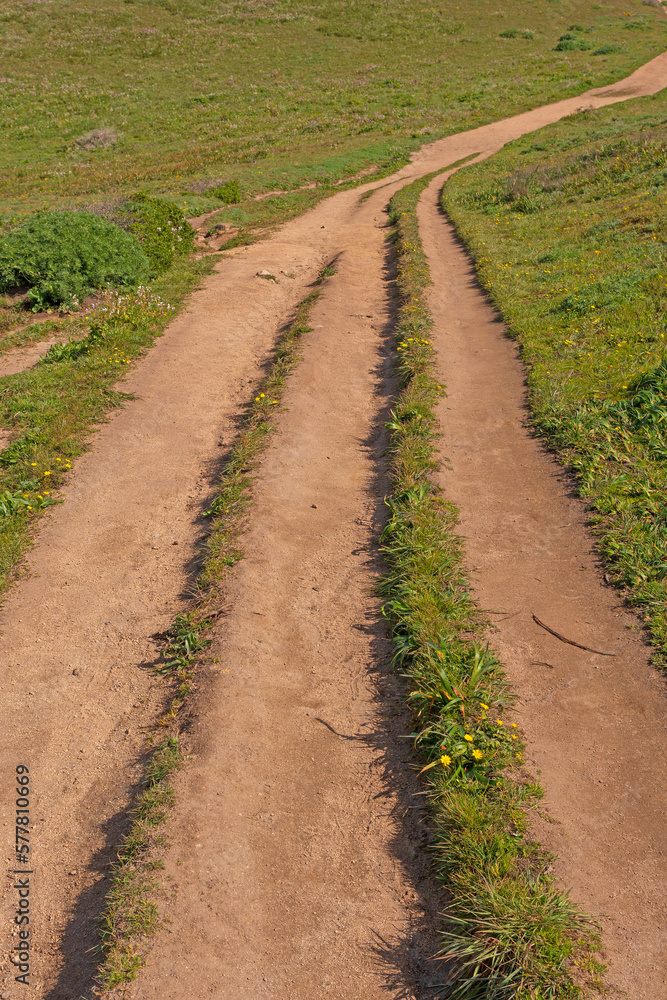 Lonely Track on a Coastal Ridge Lonely Track on a Coastal Ridge
