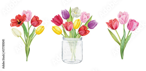 Set of tulips isolated on white background. Watercolor floral botanical illustration.