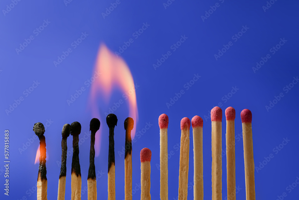 Burning and whole matches on blue background. Stop destruction concept Burning and whole matches on blue background. Stop destruction concept